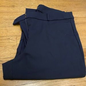 Loft NWOT Navy High Waist Skinny Curvy 14